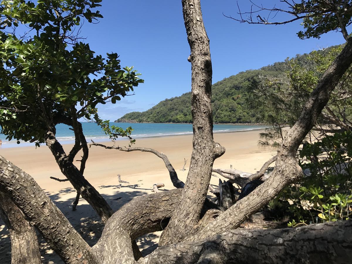 Daintree Magic Holiday House Cow Bay Luaran gambar