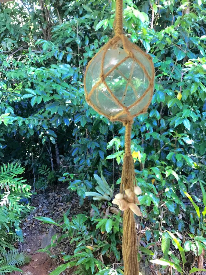 Daintree Magic Holiday House Cow Bay Luaran gambar