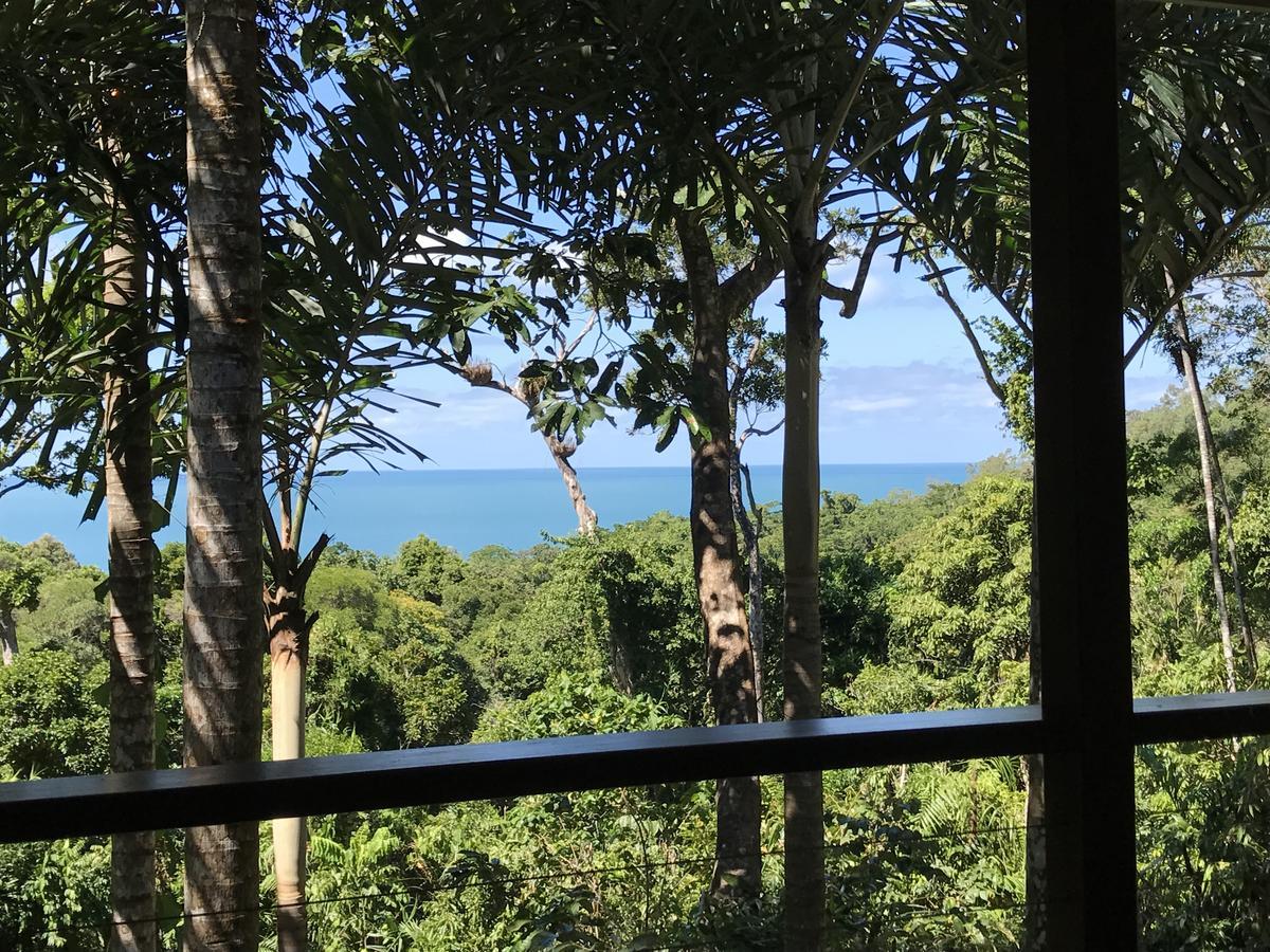 Daintree Magic Holiday House Cow Bay Luaran gambar