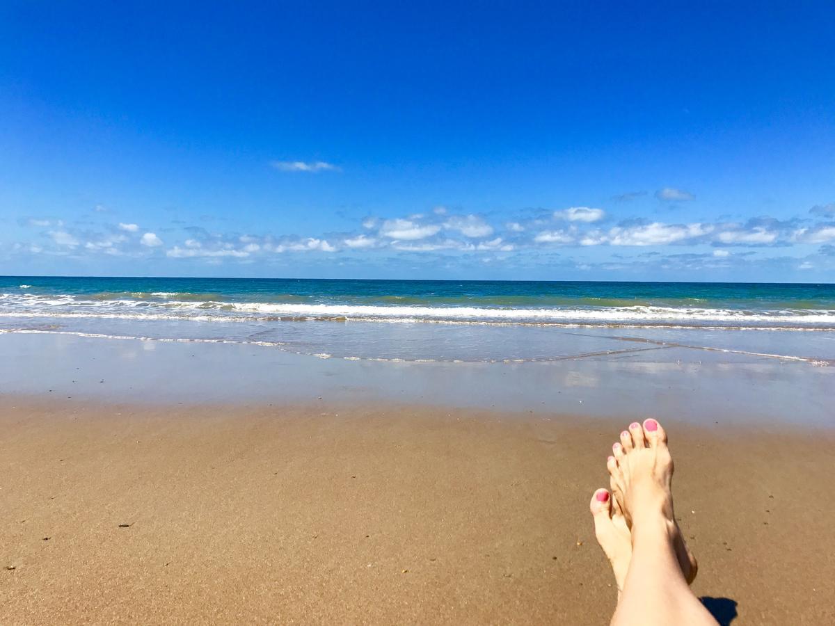 Daintree Magic Holiday House Cow Bay Luaran gambar