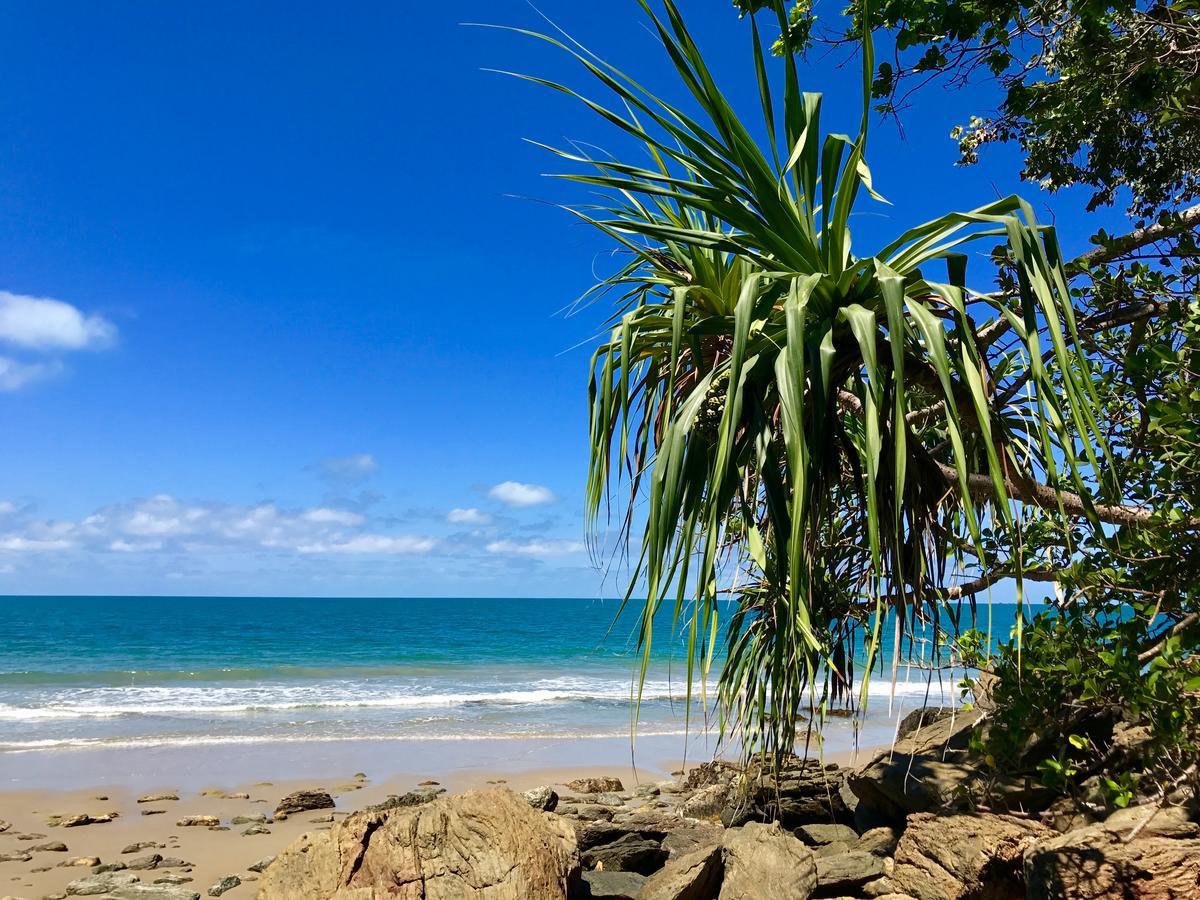 Daintree Magic Holiday House Cow Bay Luaran gambar