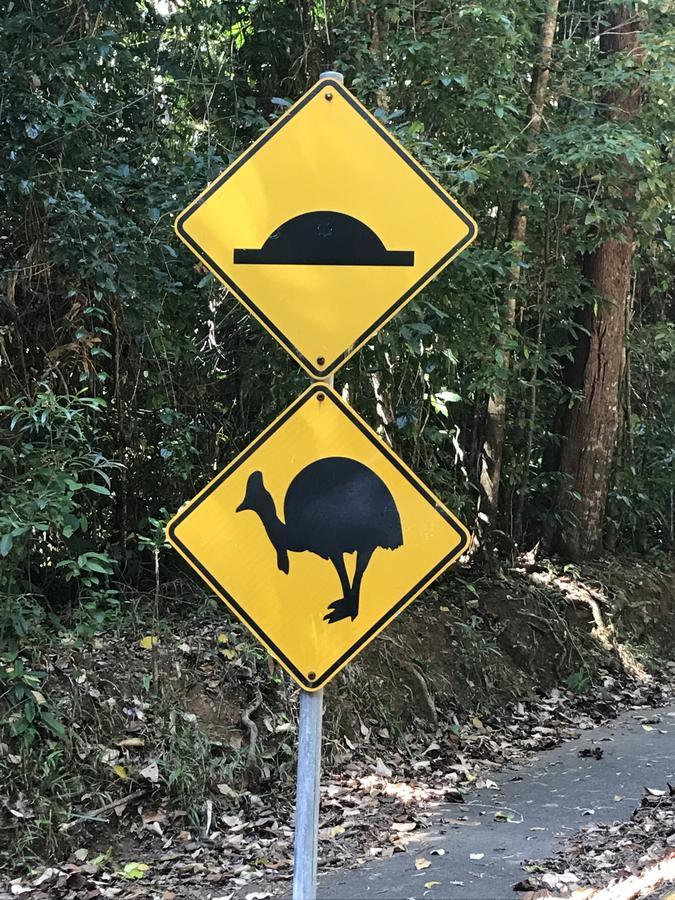 Daintree Magic Holiday House Cow Bay Luaran gambar