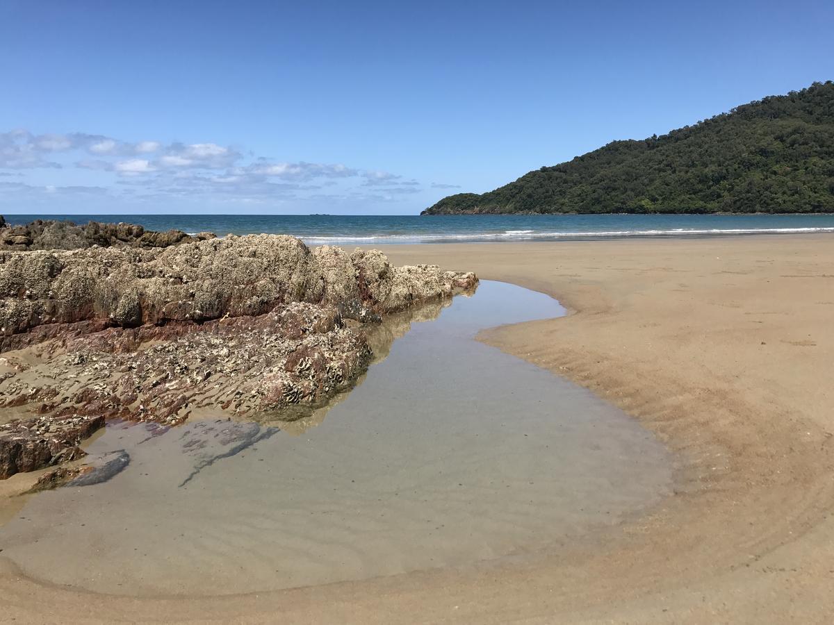 Daintree Magic Holiday House Cow Bay Luaran gambar