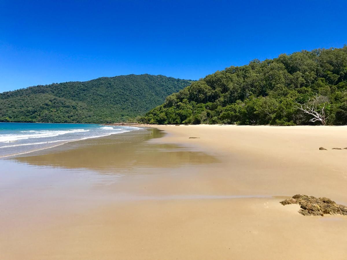 Daintree Magic Holiday House Cow Bay Luaran gambar