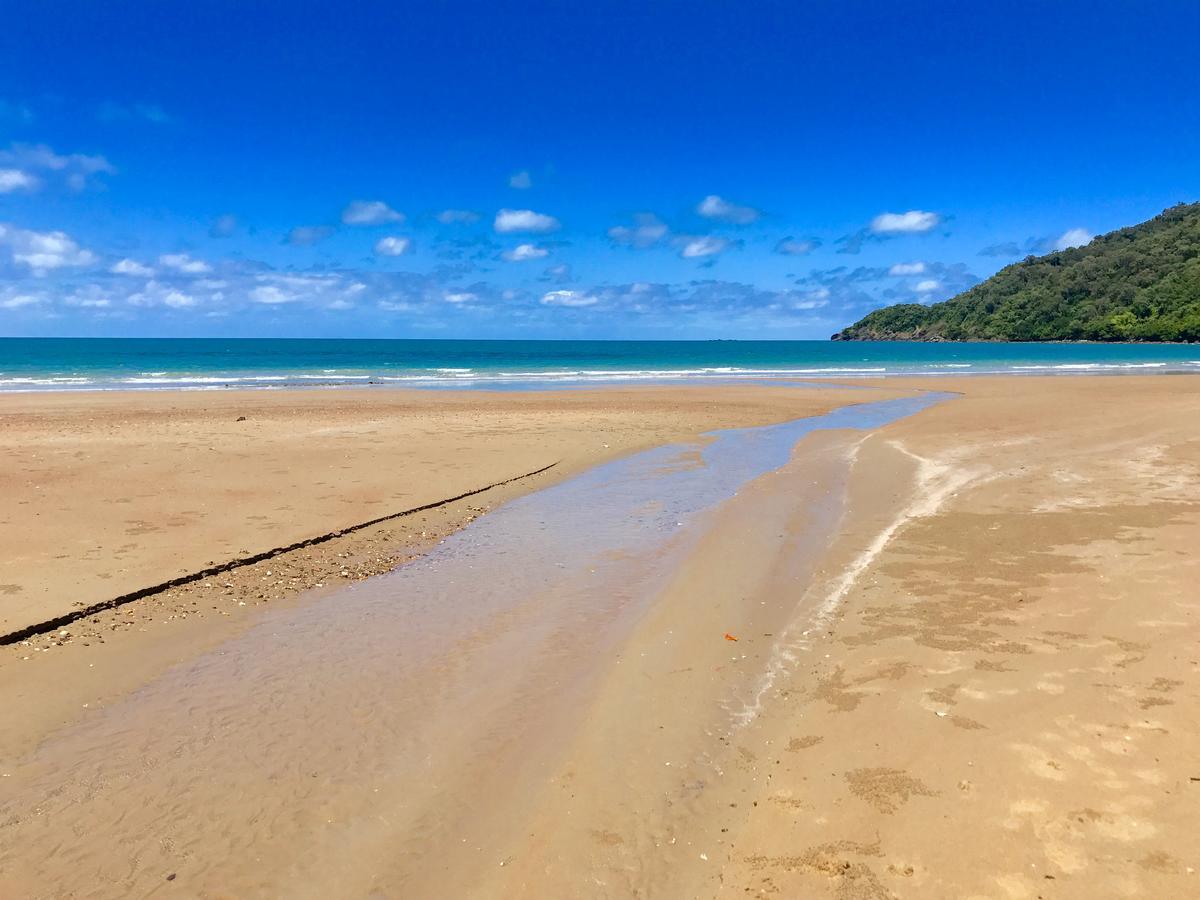 Daintree Magic Holiday House Cow Bay Luaran gambar