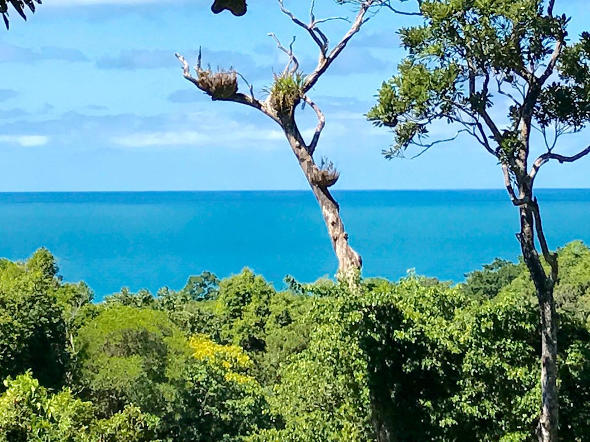 Daintree Magic Holiday House Cow Bay Luaran gambar