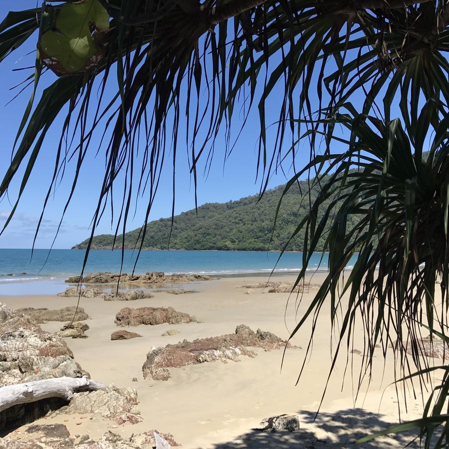 Daintree Magic Holiday House Cow Bay Luaran gambar